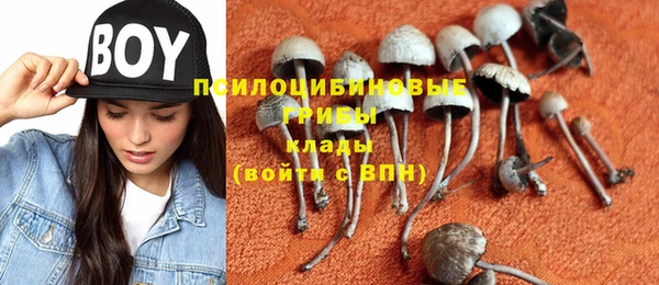 метадон Горняк