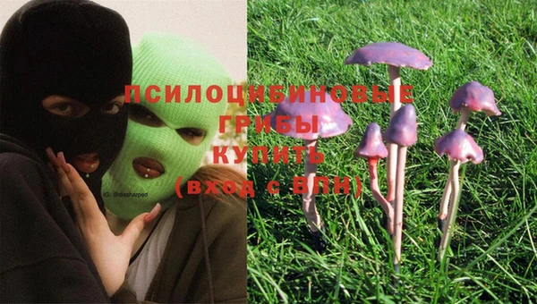 метадон Горняк