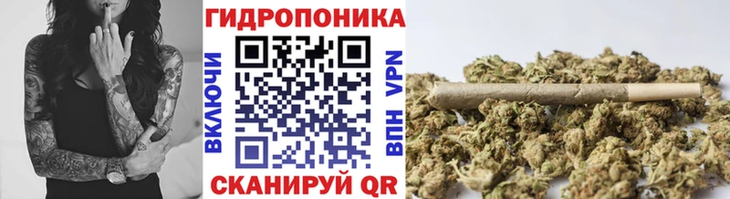 Конопля MAZAR  Купить закладки  Мышкин 